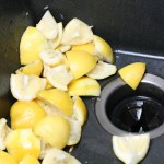 How to clean your garbage disposal