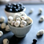 Yogurt Covered Blueberries & Giveaway